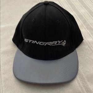 Stingray Black and Gray Cap